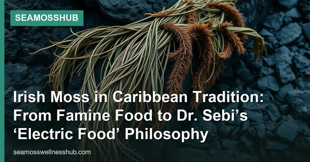Irish Moss in Caribbean Tradition: From Famine Food to Dr. Sebi’s ‘Electric Food’ Philosophy - SeaMossHub