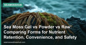 Sea Moss Gel vs Powder vs Raw: Comparing Forms for Nutrient Retention, Convenience, and Safety