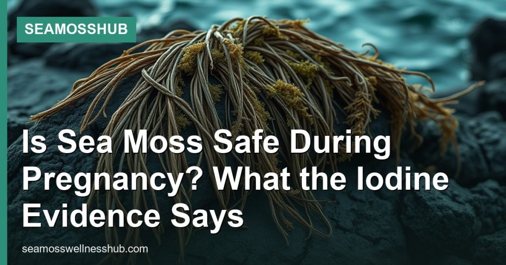 Is Sea Moss Safe During Pregnancy? What the Iodine Evidence Says - SeaMossHub