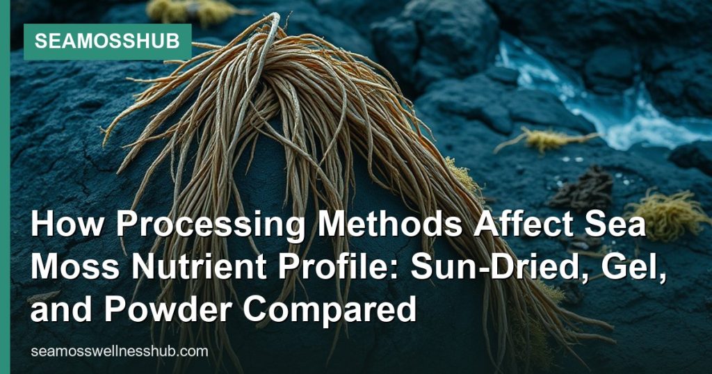 How Processing Methods Affect Sea Moss Nutrient Profile: Sun-Dried, Gel, and Powder Compared - SeaMossHub