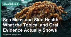Sea Moss and Skin Health: What the Topical and Oral Evidence Actually Shows
