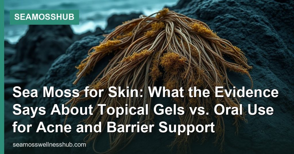 Sea Moss for Skin: What the Evidence Says About Topical Gels vs. Oral Use for Acne and Barrier Support - SeaMossHub