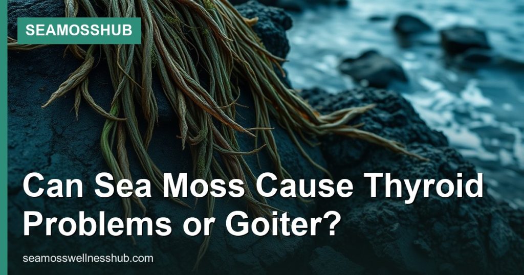 Can Sea Moss Cause Thyroid Problems or Goiter? - SeaMossHub