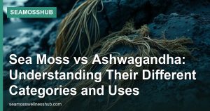 Sea Moss vs Ashwagandha: Understanding Their Different Categories and Uses