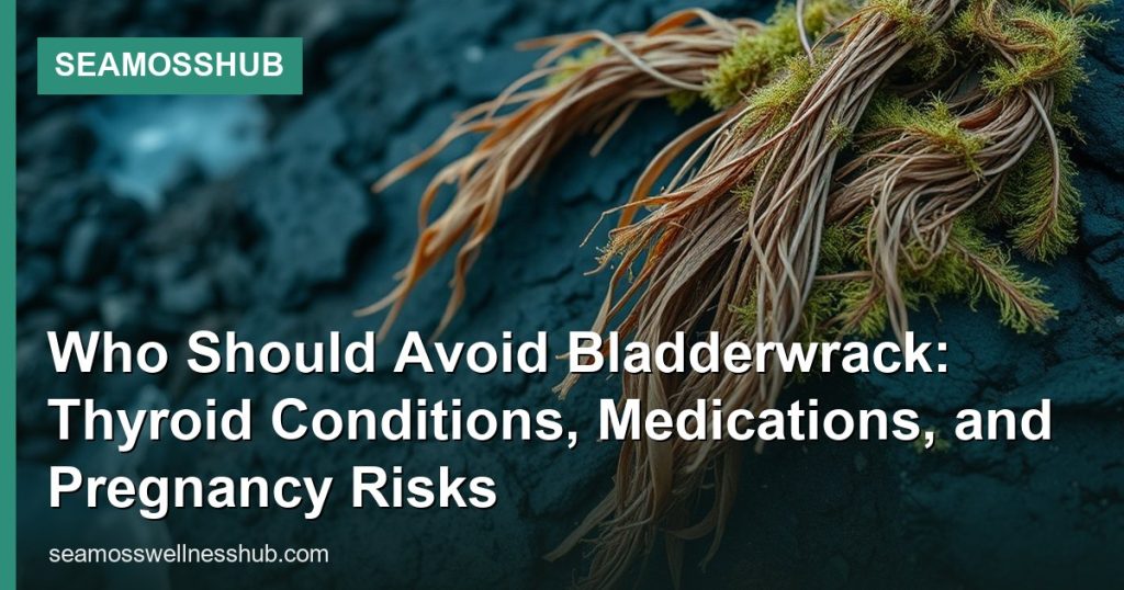 Who Should Avoid Bladderwrack: Thyroid Conditions, Medications, and Pregnancy Risks - SeaMossHub
