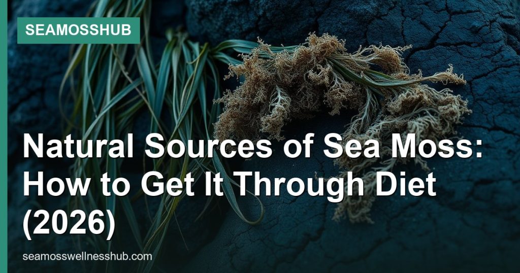 Natural Sources of Sea Moss: How to Get It Through Diet (2026) - SeaMossHub