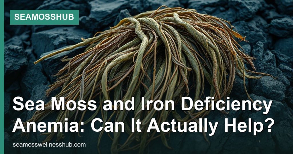 Sea Moss and Iron Deficiency Anemia: Can It Actually Help? - SeaMossHub
