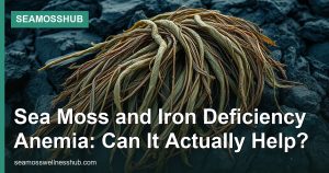 Sea Moss and Iron Deficiency Anemia: Can It Actually Help?