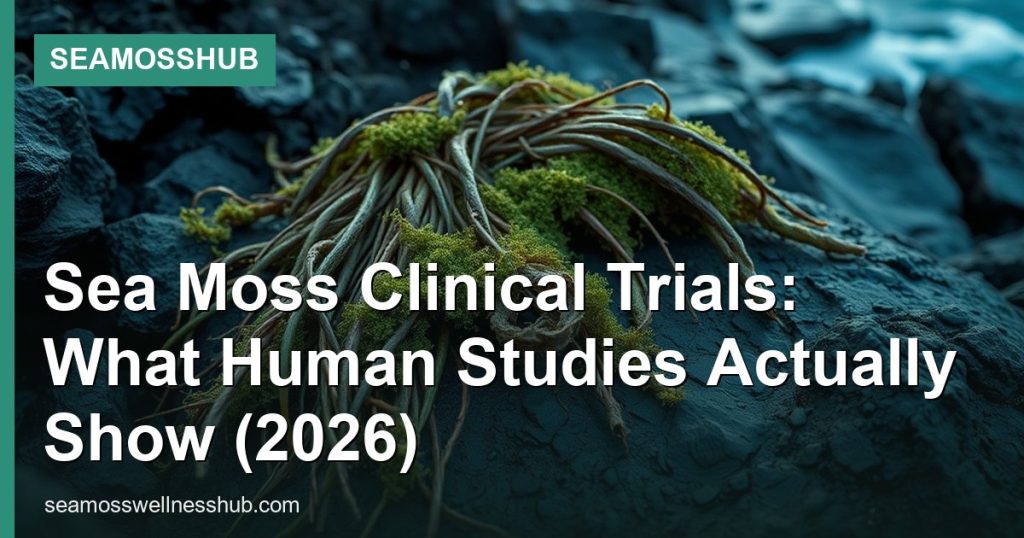 Sea Moss Clinical Trials: What Human Studies Actually Show (2026) - SeaMossHub