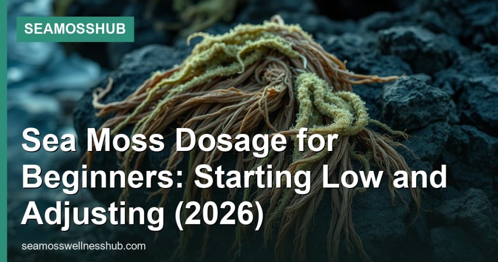 Sea Moss Dosage for Beginners: Starting Low and Adjusting (2026) - SeaMossHub