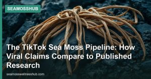 The TikTok Sea Moss Pipeline: How Viral Claims Compare to Published Research