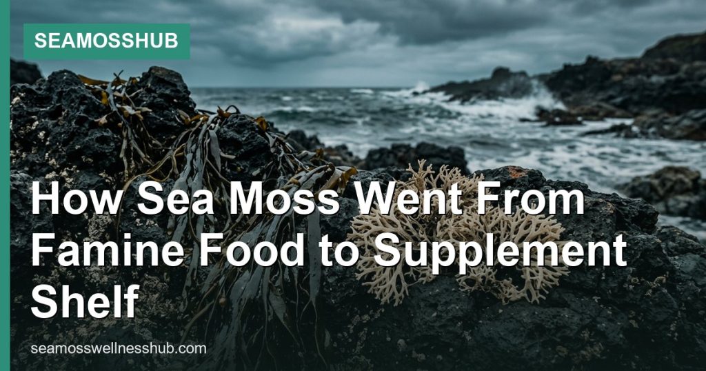How Sea Moss Went From Famine Food to Supplement Shelf - SeaMossHub